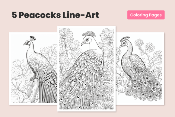 Download Peacock Bundle Coloring Pages for Adults - Coloring pages for adults Collection